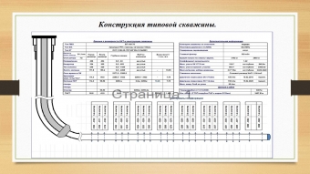 Слайд5